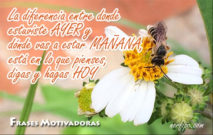 Fotos y frases para apoyar y reanimar una amistad ante un fracaso