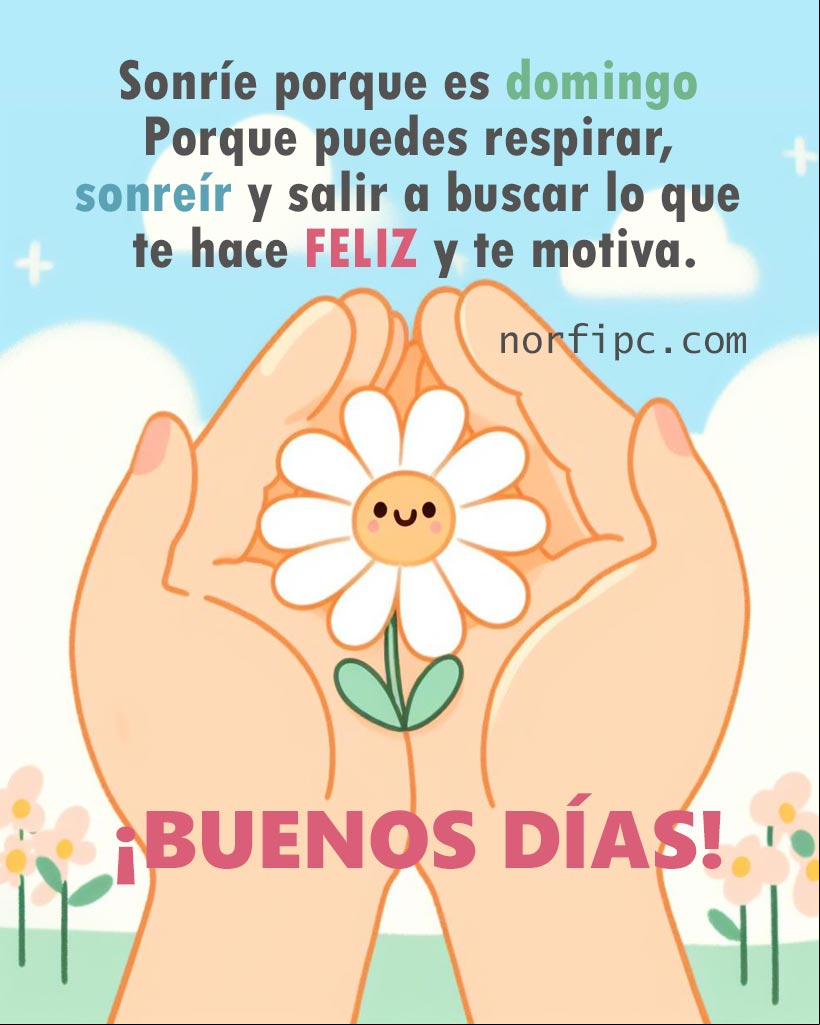 ¡Buenos días! Sonríe porque es domingo. Porque puedes respirar, sonreír y salir a buscar lo que te hace feliz y te motiva Ilustración de una flor en unas manos abiertas