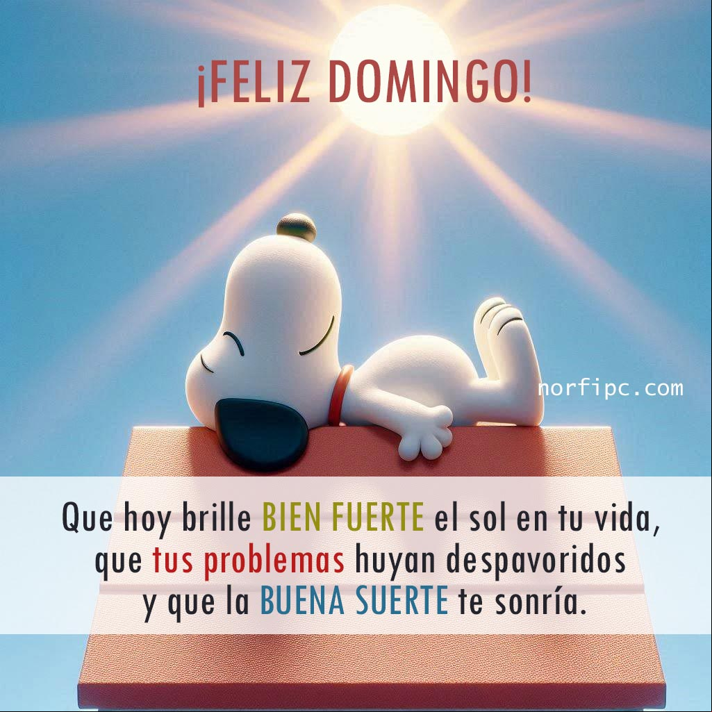 ¡Feliz domingo! Que hoy brille bien fuerte el sol en tu vida, que tus problemas huyan despavoridos y la buena suerte te sonría Snoopie acostado boca arriba en el techo de su casita recibiendo los rayos del sol