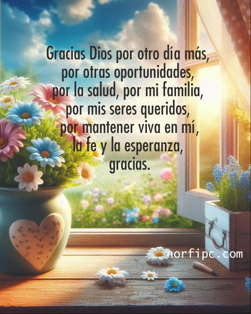 Gracias Dios por otro día más, por otras oportunidades, por la salud, por mi familia, por mis seres queridos, por mantener viva en mí la fe y la esperanza, gracias Pequeño tiesto con flores en el marco de ventana abierta