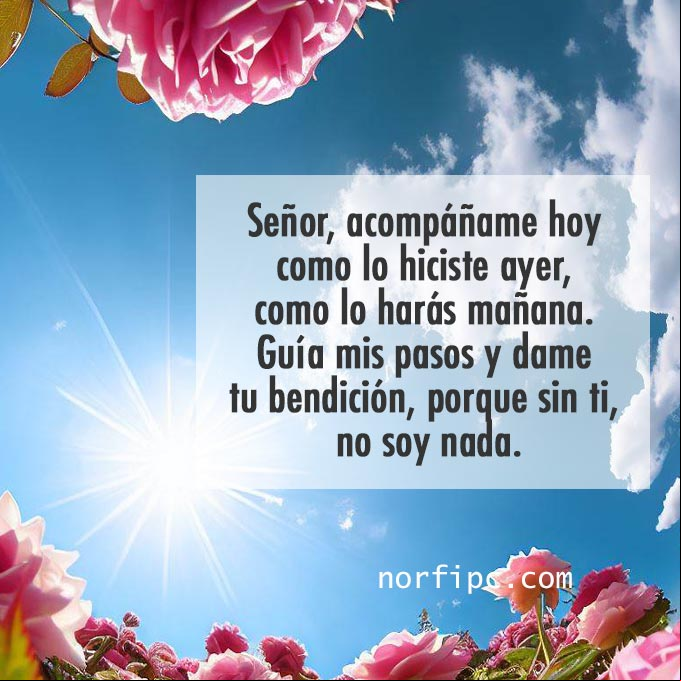 Señor, acompáñame hoy como lo hiciste ayer, como lo harás mañana. Guía mis pasos y dame tu bendición, porque sin ti, no soy nada. Sol entre flores al amanecer