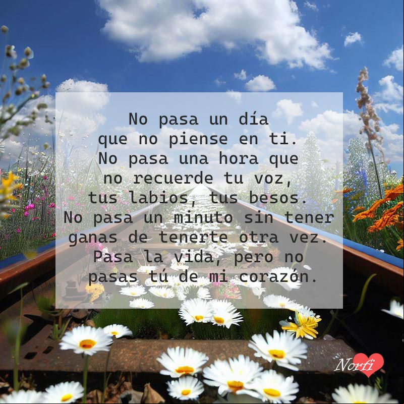 Paisaje de la linea del tren con flores, con poema sobre la distancia
