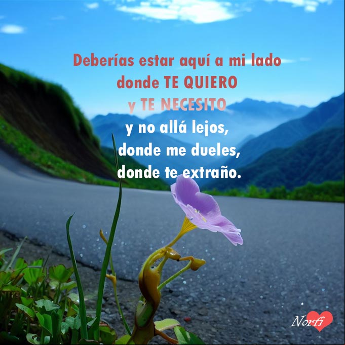 Deberías estar aquí a mi lado donde te quiero y te necesito y no allá lejos, donde me dueles, donde te extraño Flor a la orilla de la carretera inclinada, como llorando, montañas,