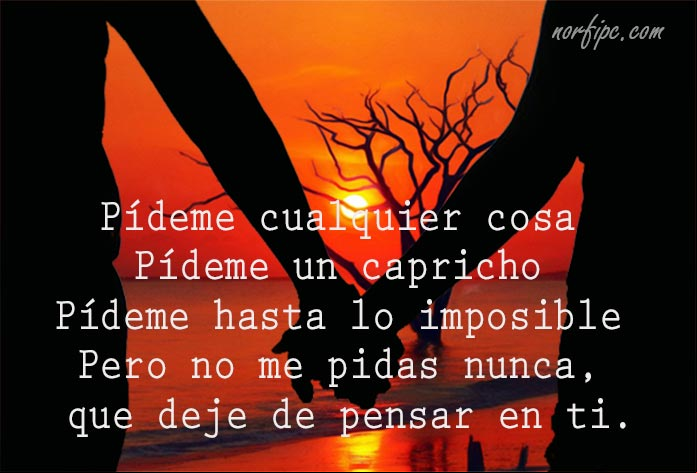 Pídeme cualquier cosa, pídeme un capricho, pídeme hasta lo imposible, pero no me pidas nunca, que deje de pensar en ti. #PoesiaAmor Imposible dejar de pensar en ti