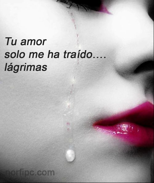 Tu amor solo me ha traído lágrimas Tu amor solo me ha traído lágrimas