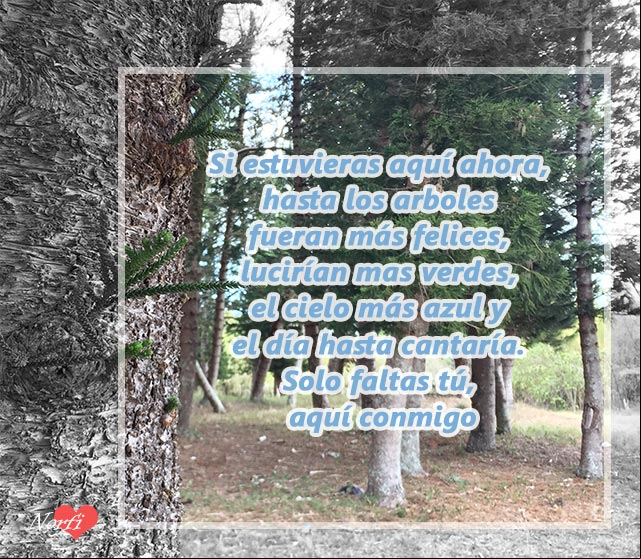 Si estuvieras aquí ahora, nada faltaría Si estuvieras aquí ahora, nada faltaría