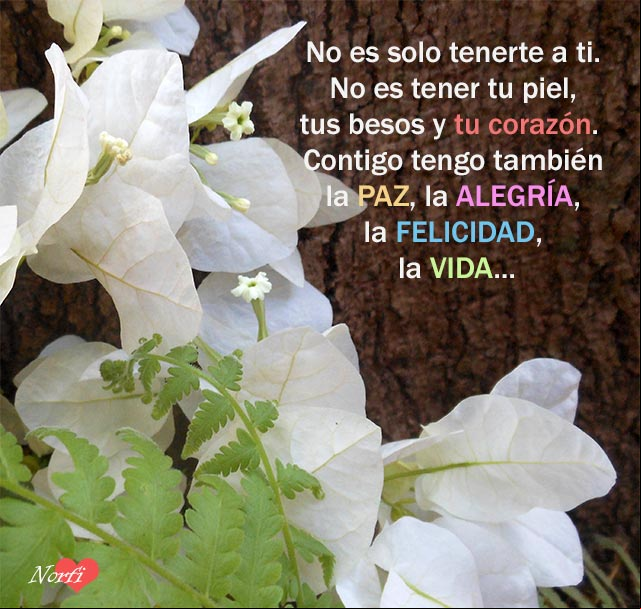 No es solo tenerte a ti. No es tener tu piel, tus besos y tu corazón. Contigo tengo también la paz, la alegría, la felicidad, la vida No es solo tenerte a ti. No es tener tu piel, tus besos y tu corazón. Contigo tengo también la paz, la alegría, la felicidad, la vida