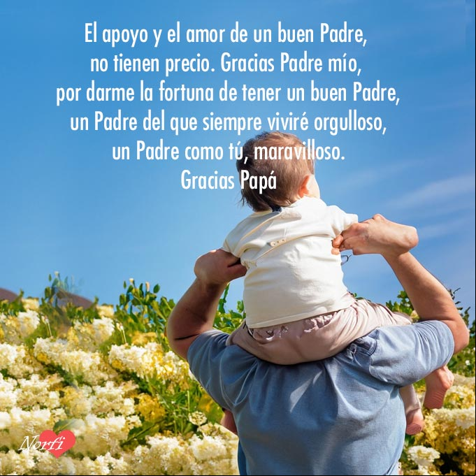 El apoyo y el amor de un buen Padre no tienen precio Padre con su hijo cargado en su hombro