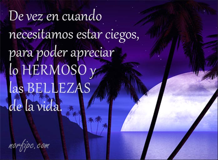 Frases ingeniosas, agudas y filosóficas sobre la vida
